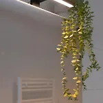 Sweethome - Maisonette Apartment, Parkplatz, Wifi, Naehe Zentrum *